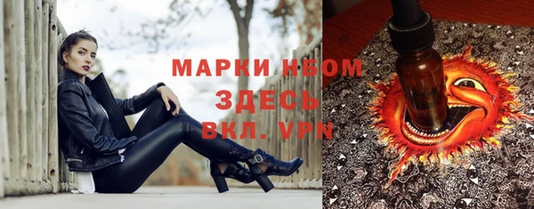 хмурый Абаза